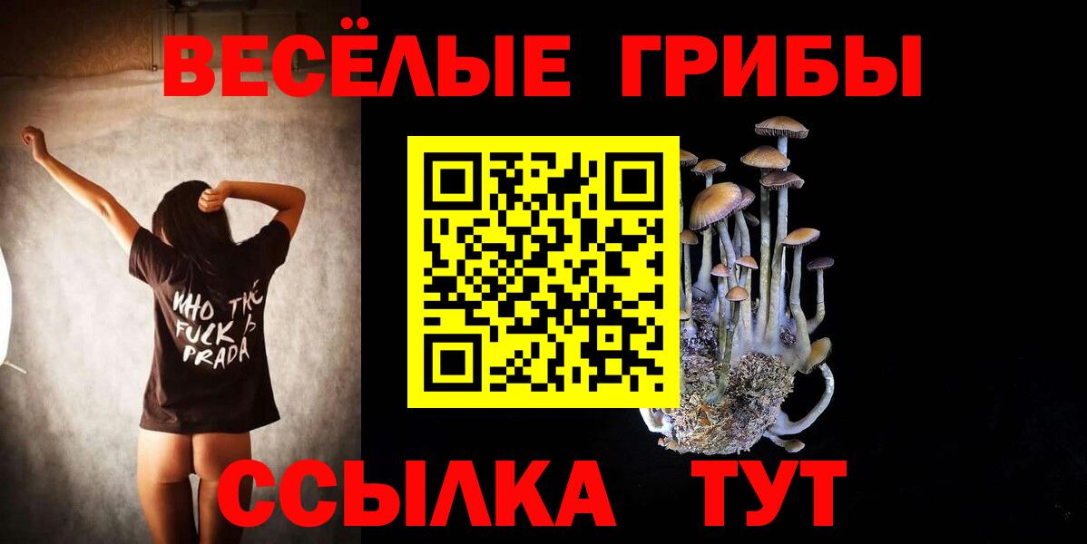 Каннабис  ГАШ  Казань  Вход с VPN  Бошки Шишки  МЕФ  Меф   Cocaine 