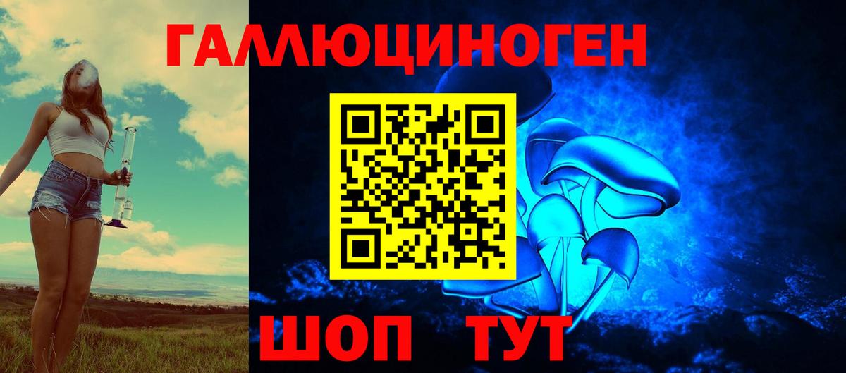 Казань  Галлюциногенные грибы мицелий  Вход с VPN  Псилоцибиновые грибы Psilocybe 